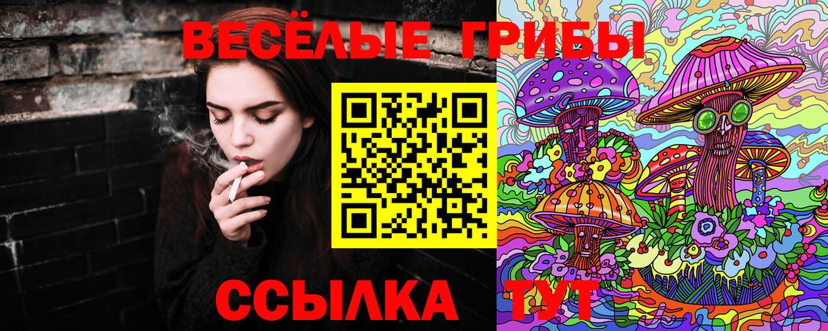 Псилоцибиновые грибы прущие грибы Саянск