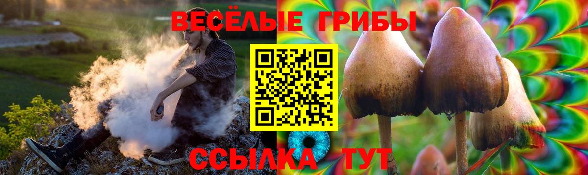Галлюциногенные грибы Cubensis  Вход с VPN  Саянск 